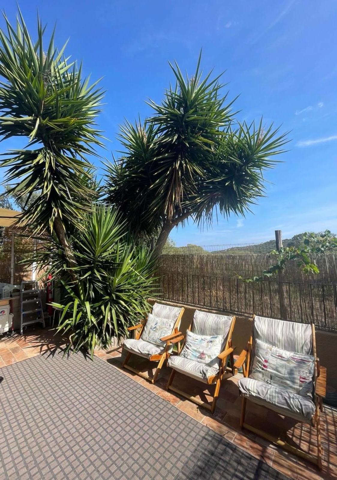 올비아 Yucca 아파트 외부 사진